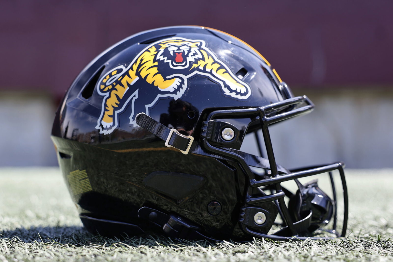 Tiger-Cats helmet TicatsGen